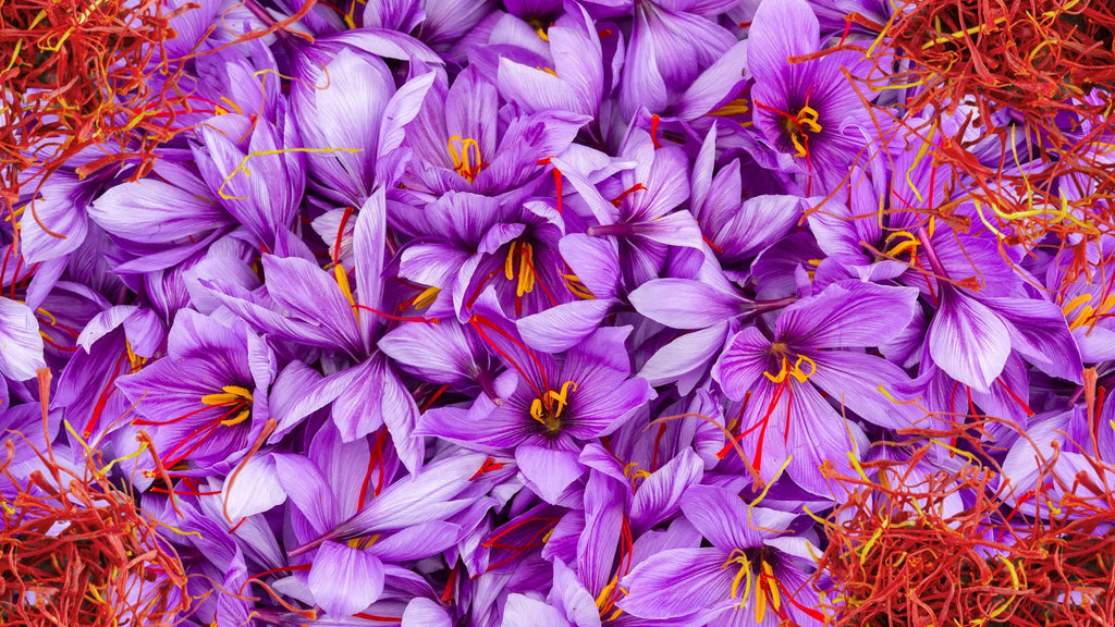 Kashmir Saffron — Grade 1 (7g)