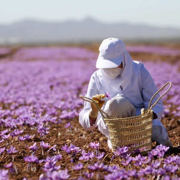 Kashmir Saffron — Grade 1 (7g)
